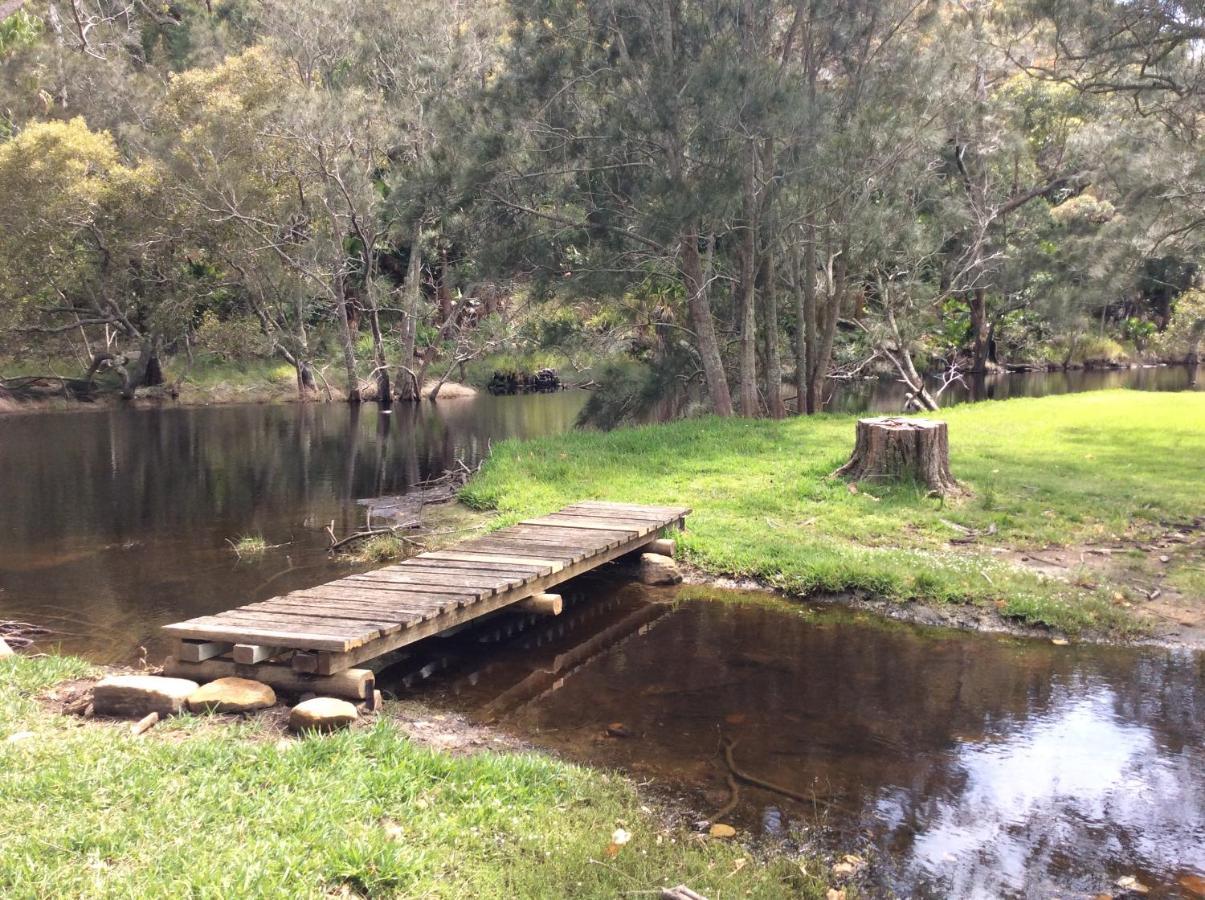 Currawong